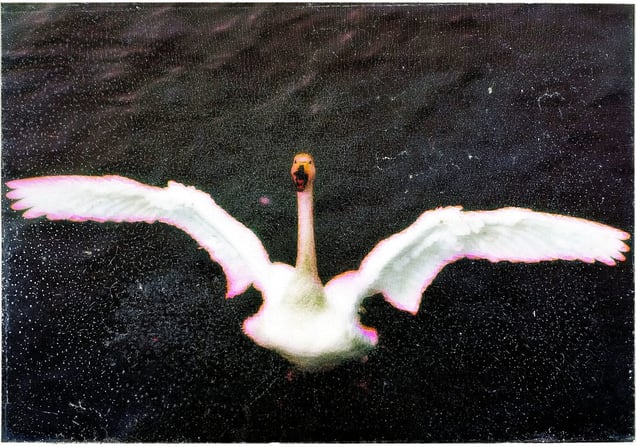 Recovered Photo #20