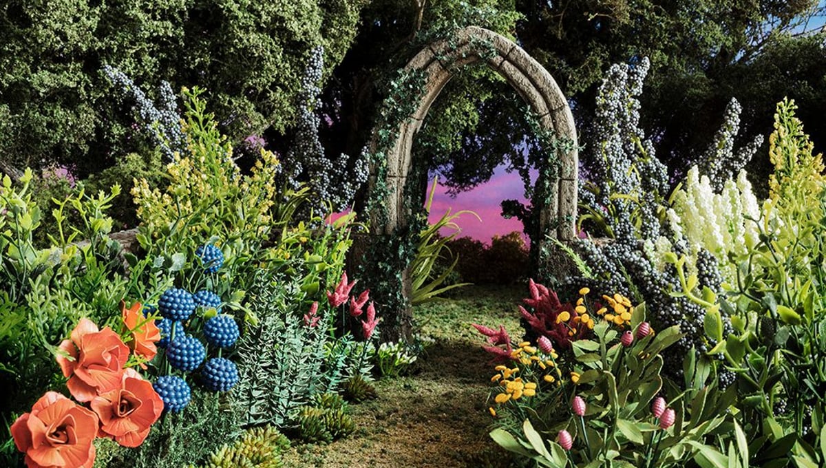 Winter Garden, 2017