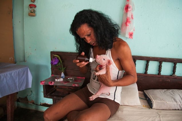 Charito at home with one-week-old piglet, Camaguey © Mariette Allen