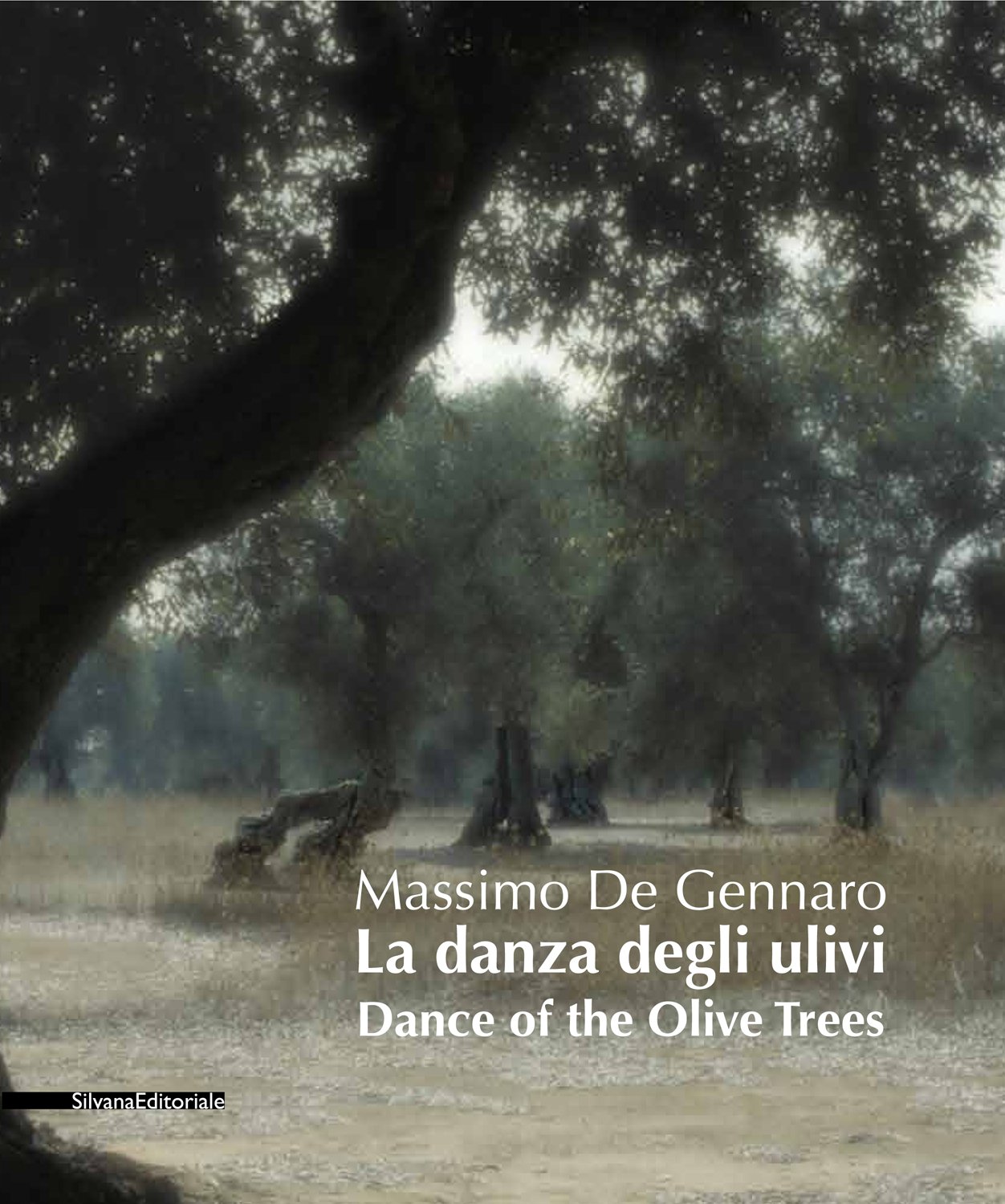 Dance of the Olive Trees