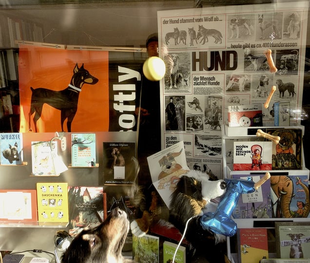 "HOUND DOG HEAVEN"