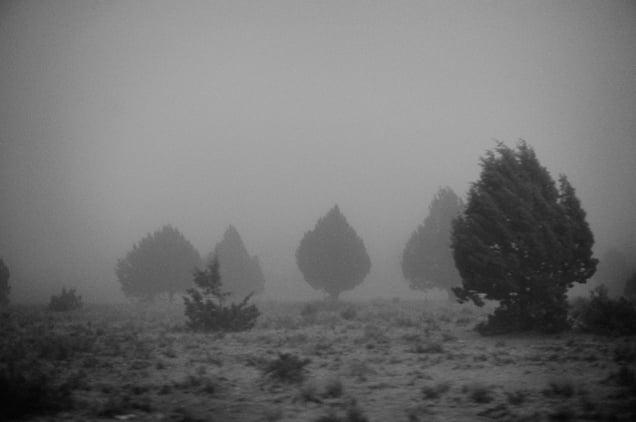 Idaho Desert