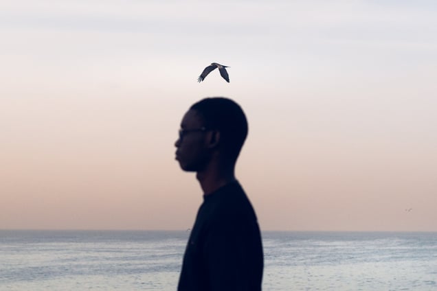 Dakar's Eagle