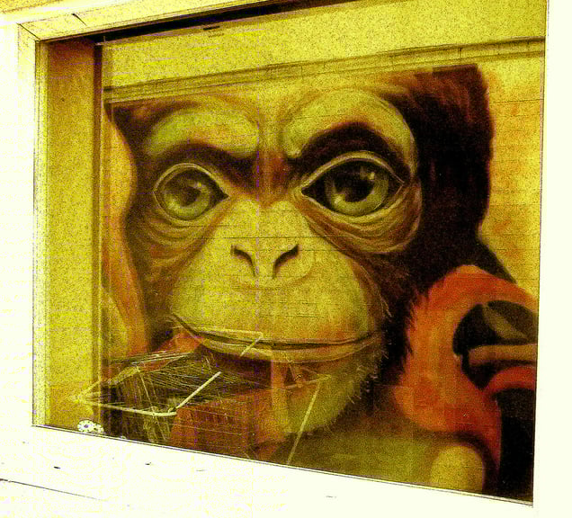 "MONKEY MIND MUSIC MEDLEY"