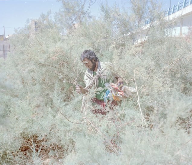 Hoveida, a 30 year old addict, lived next to the Zahak Dam, which was, until recently, full of water. It is now dried up, and only urban sewage flows through it, and it is full of garbage. At only 30 years old, Hoveida says that he is at the end of his rope and hopes to die soon. The Zahak municipality and city council are located are in the near surrounding area