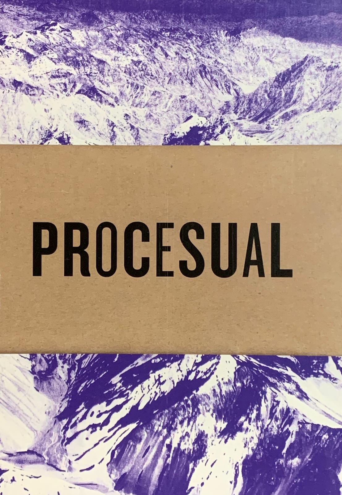 PROCESUAL #2
