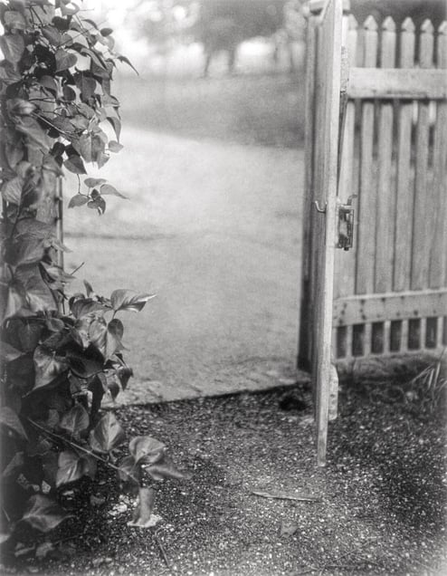 Farmer's Daughter, 2007 © Michael Somoroff
