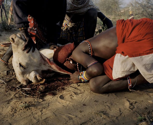 lmuget le nkarna # XIX, sasaab village, westgate community conservancy, northern kenya-from the series 'with butterflies and warriors'-David Chancellor
