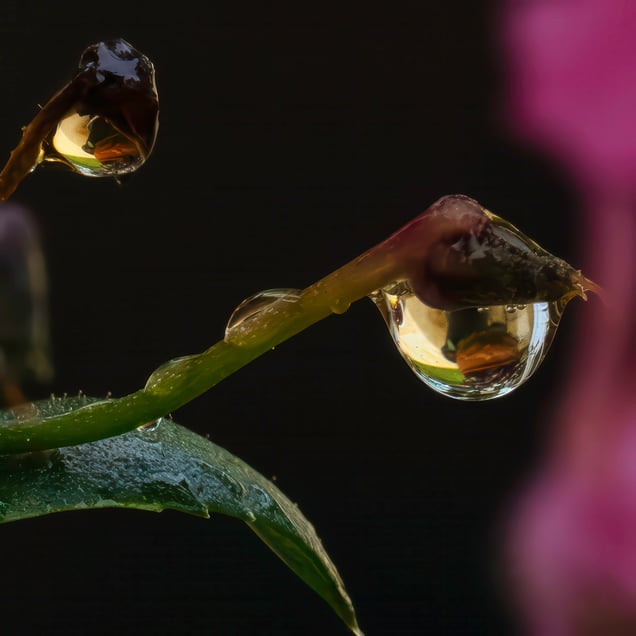 In Stillness