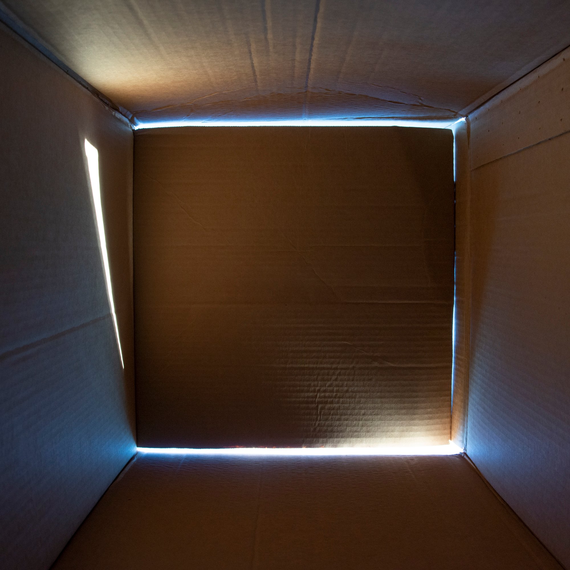 Untitled from the book "Semaphore" © Torrance York