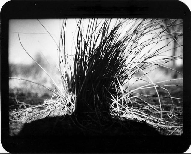 "Untitled" (Shadow #21), 2013