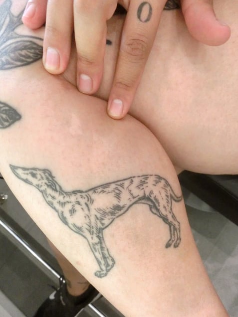 "DADA DÜRER DOG DOMINATION" or "PARANORMAL DADADOGTIVITY"