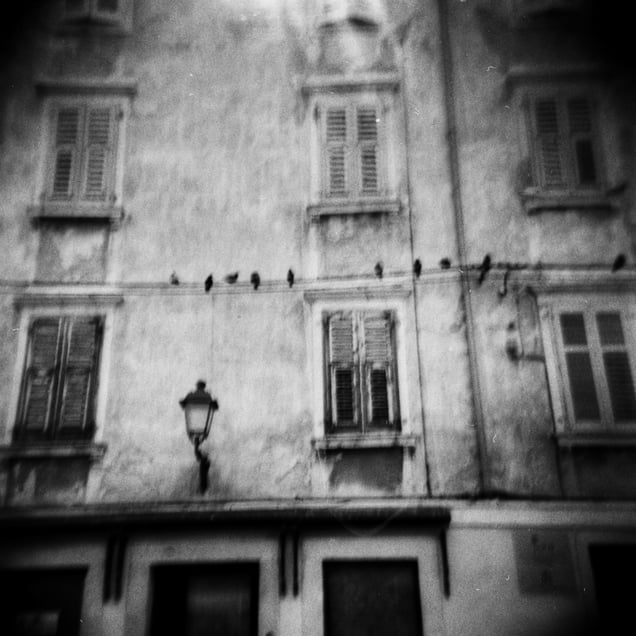 Holga #17
