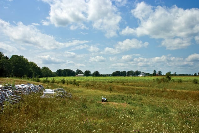 Jake's Grave, 2004