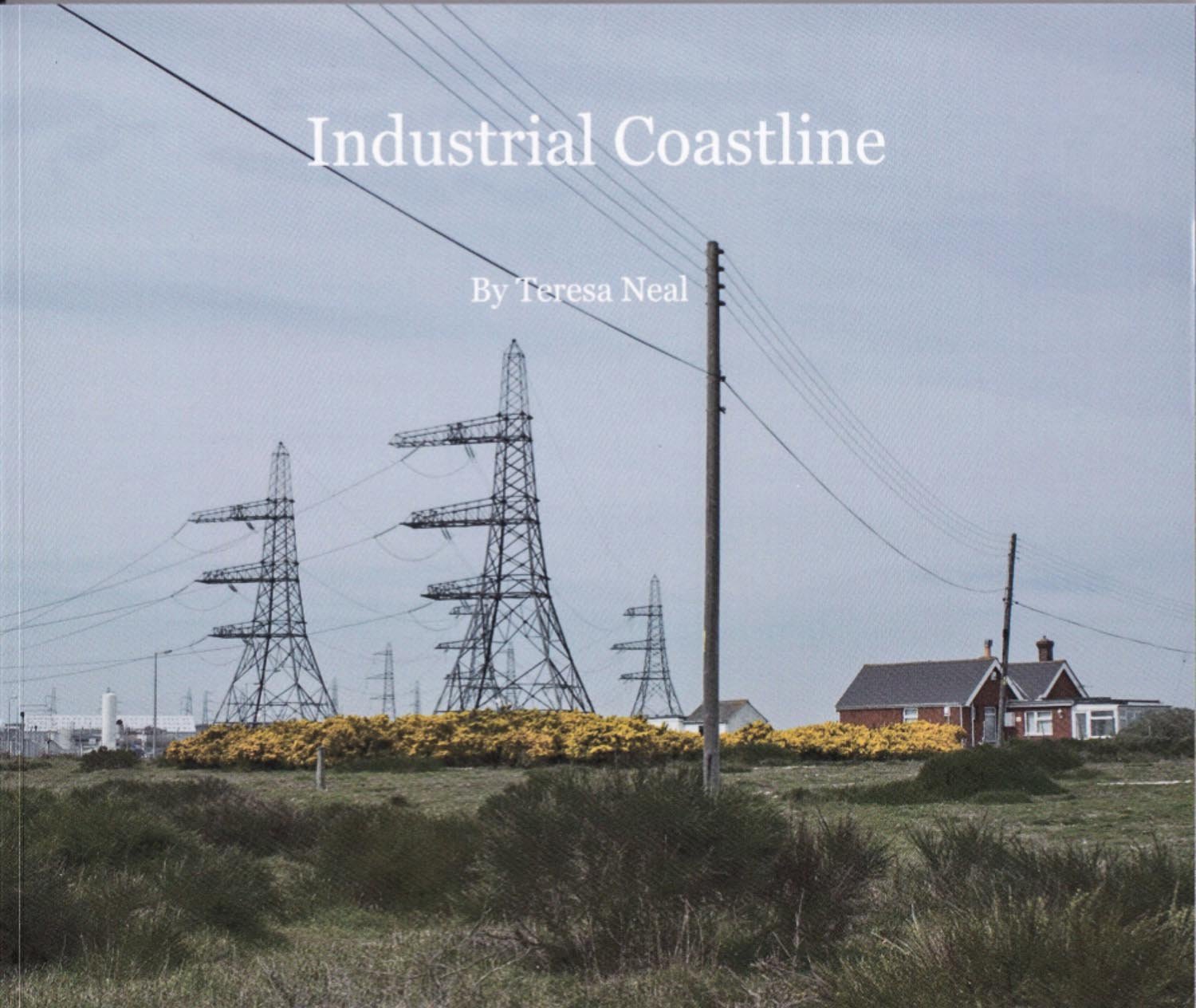 Industrial Coastline