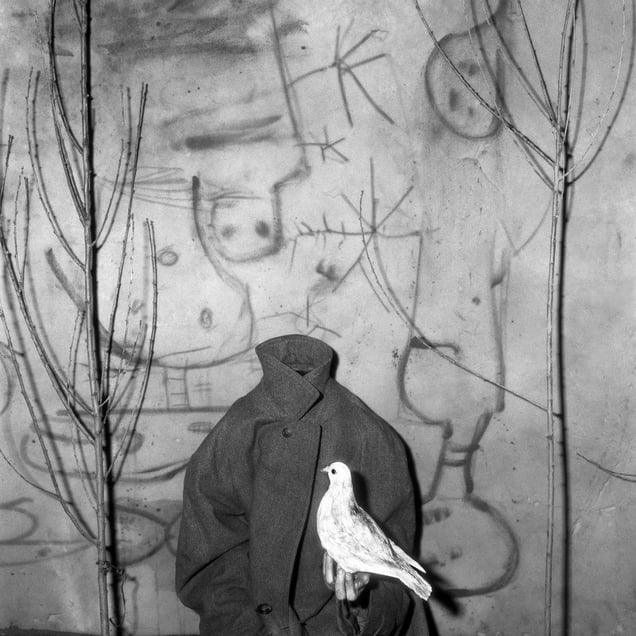 Headless. From the series "Asylum of the Birds" © Roger Ballen