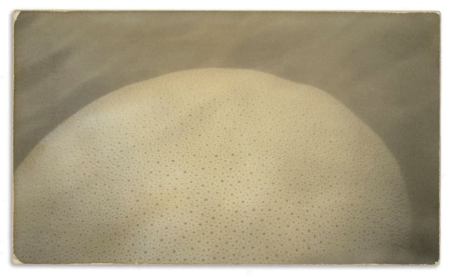 © Miki Soejima, Untitled 07 , from the series Mrs Merryman's collection. Honorable Mention, LensCulture International Exposure Awards 2010