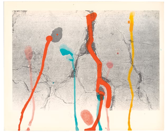 From the photobook, Hibi