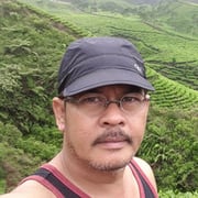 Arief Purnomo