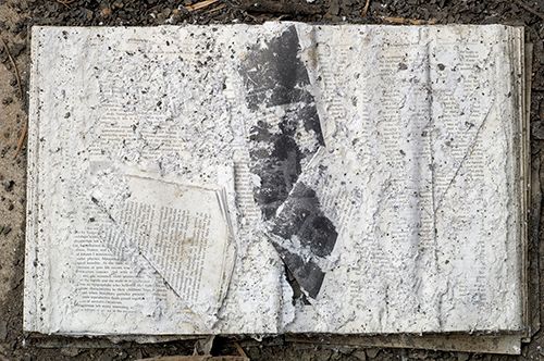 Post Katrina: 
Books and Photographs Found After the Flood