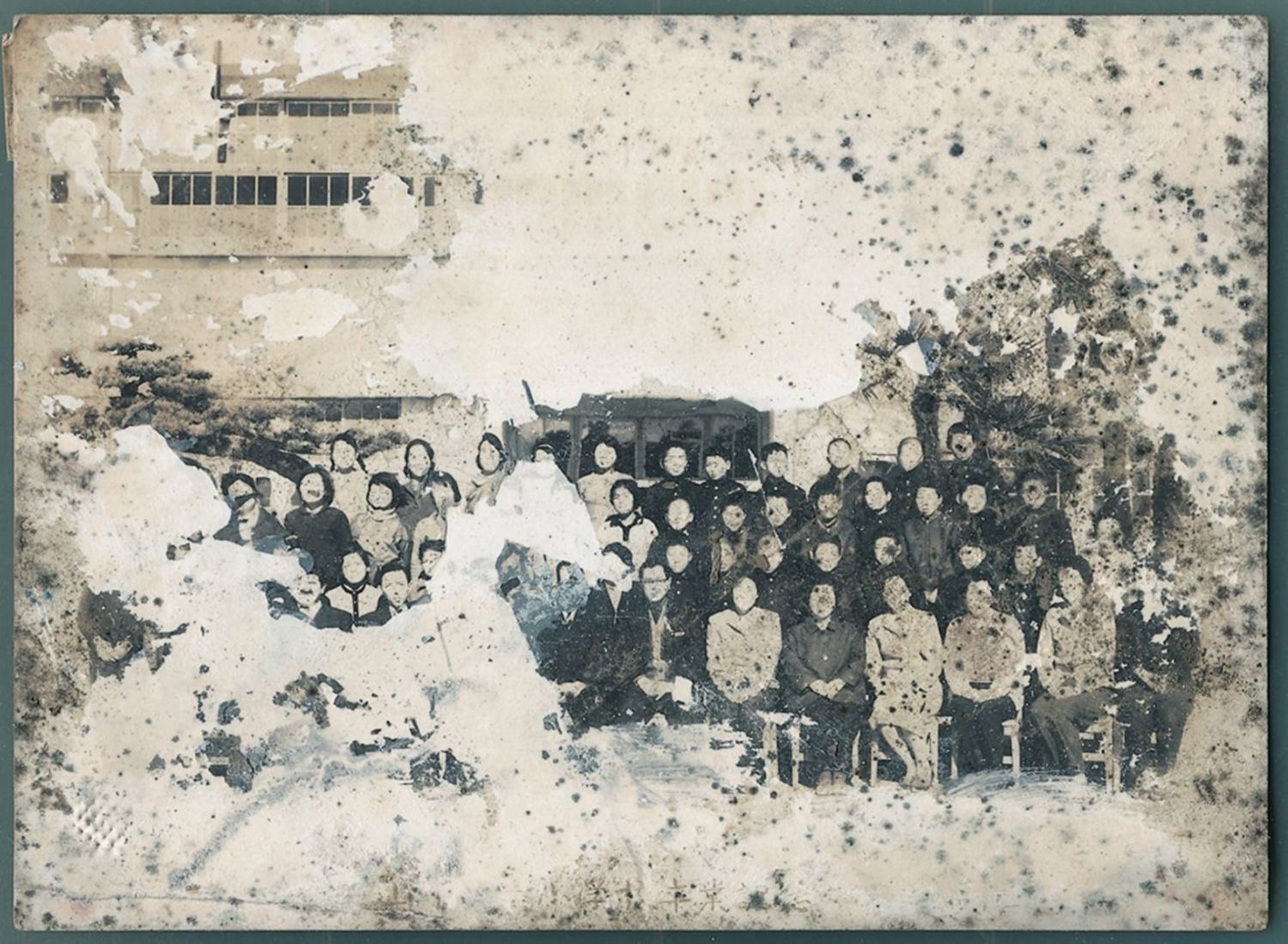 Lost and Found Project: After the Japanese Tsunami