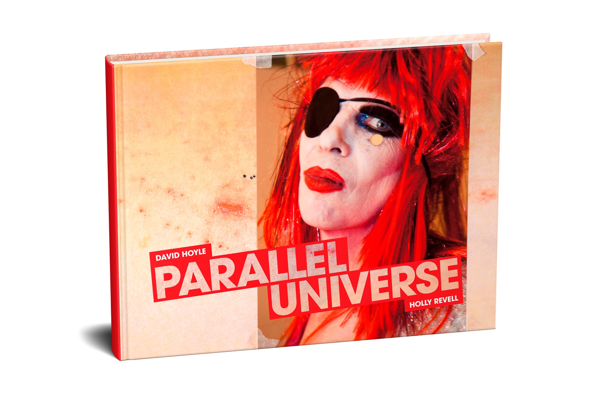 David Hoyle Parallel Universe