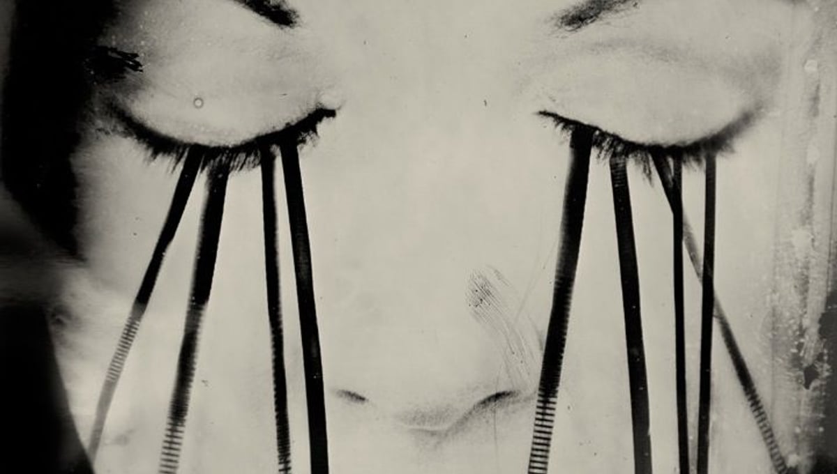 The Response Delayed. 10"x14" Tintype. From the series "Soma" © Michelle Rogers Pritzl
