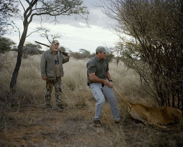 untitled hunter, trophy lioness, kalahari, northern cape, south africa-from the series 'hunters'-David Chancellor