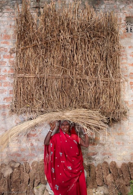 Red Basanti, India, 2013 © Floriane de Lassée