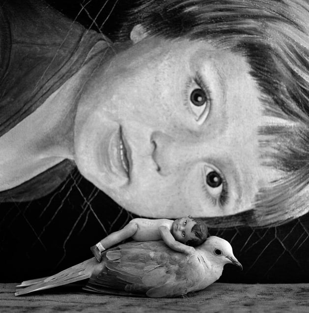 Mirrored, 2012 © Roger Ballen, Galerie Karsten Greve