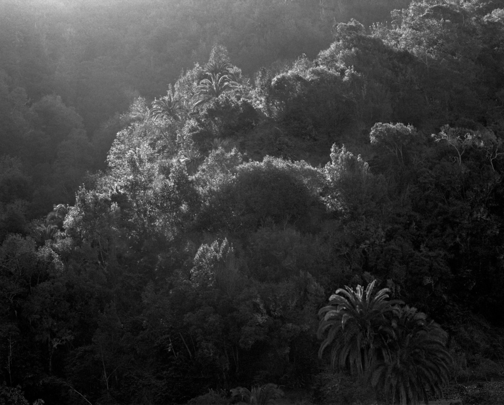 Blanco: Silent Landscapes - Interview with Awoiska van der