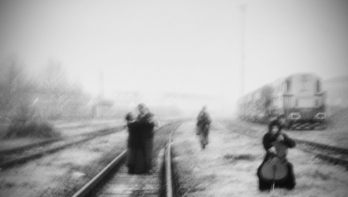 Holga #1