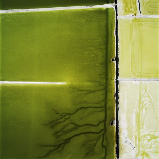 The Lake Project 19 from the series The Lake Project © David Maisel, courtesy of Prix Pictet 2008