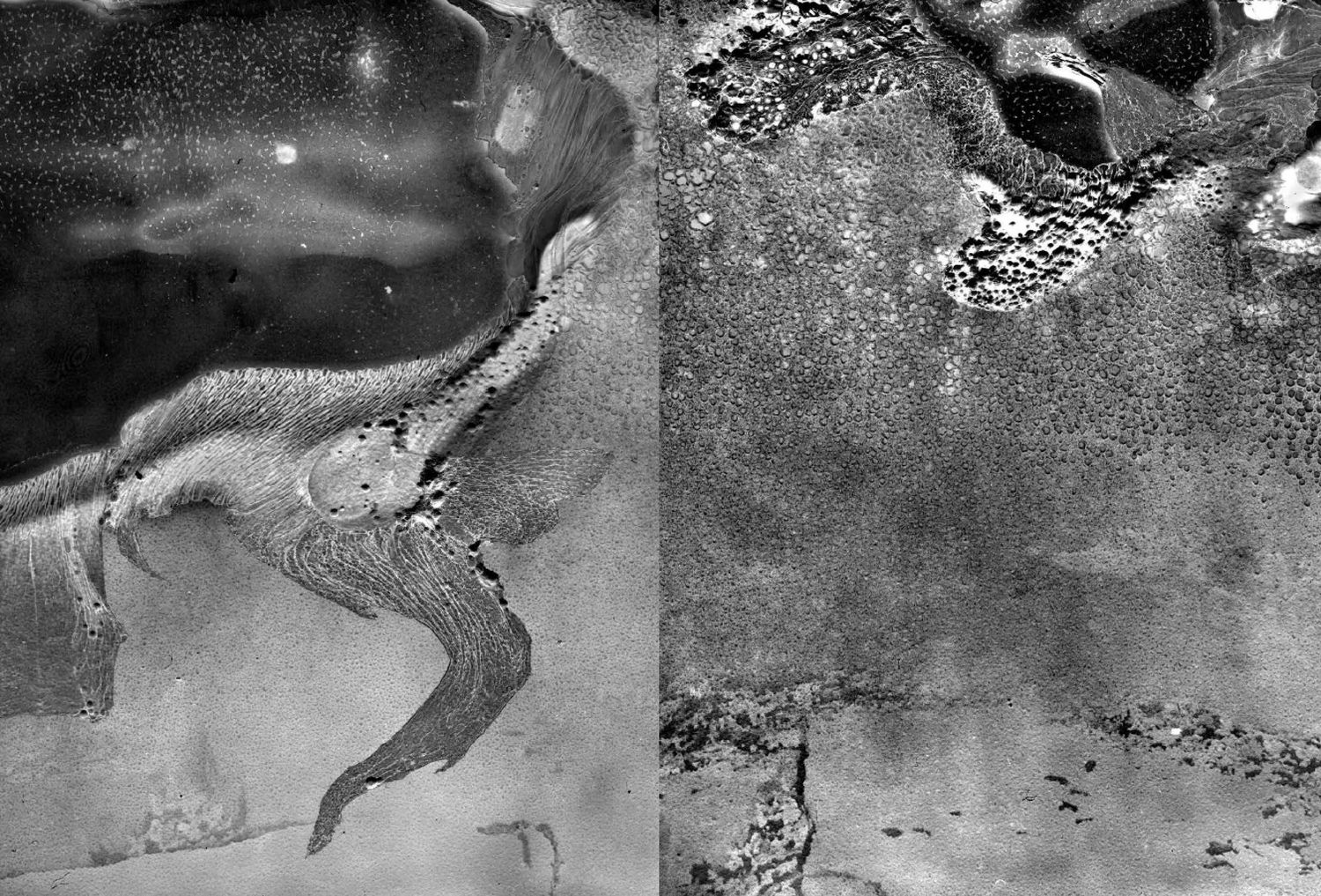 MATTER / BURN OUT - Photographs by Daisuke Yokota | LensCulture