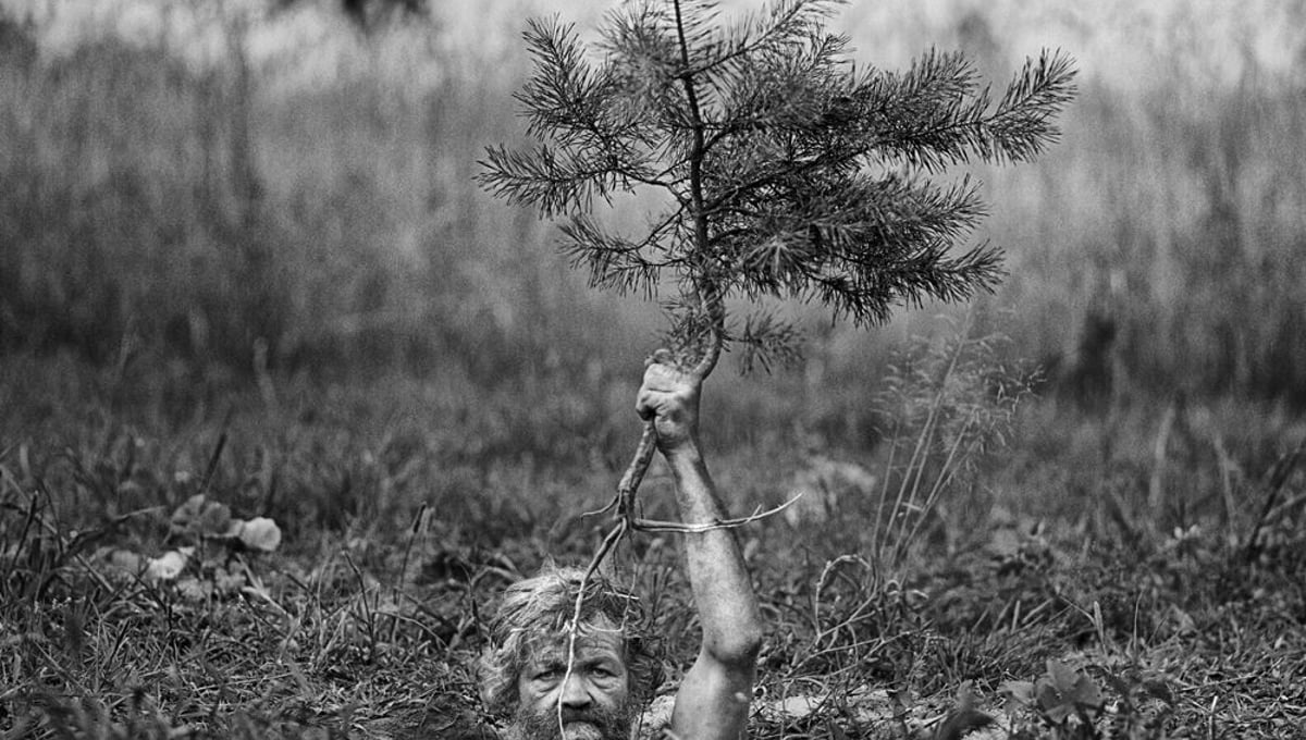 From the series, "Karczeby" © Adam Panczuk