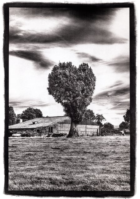 Handmade photographic print.