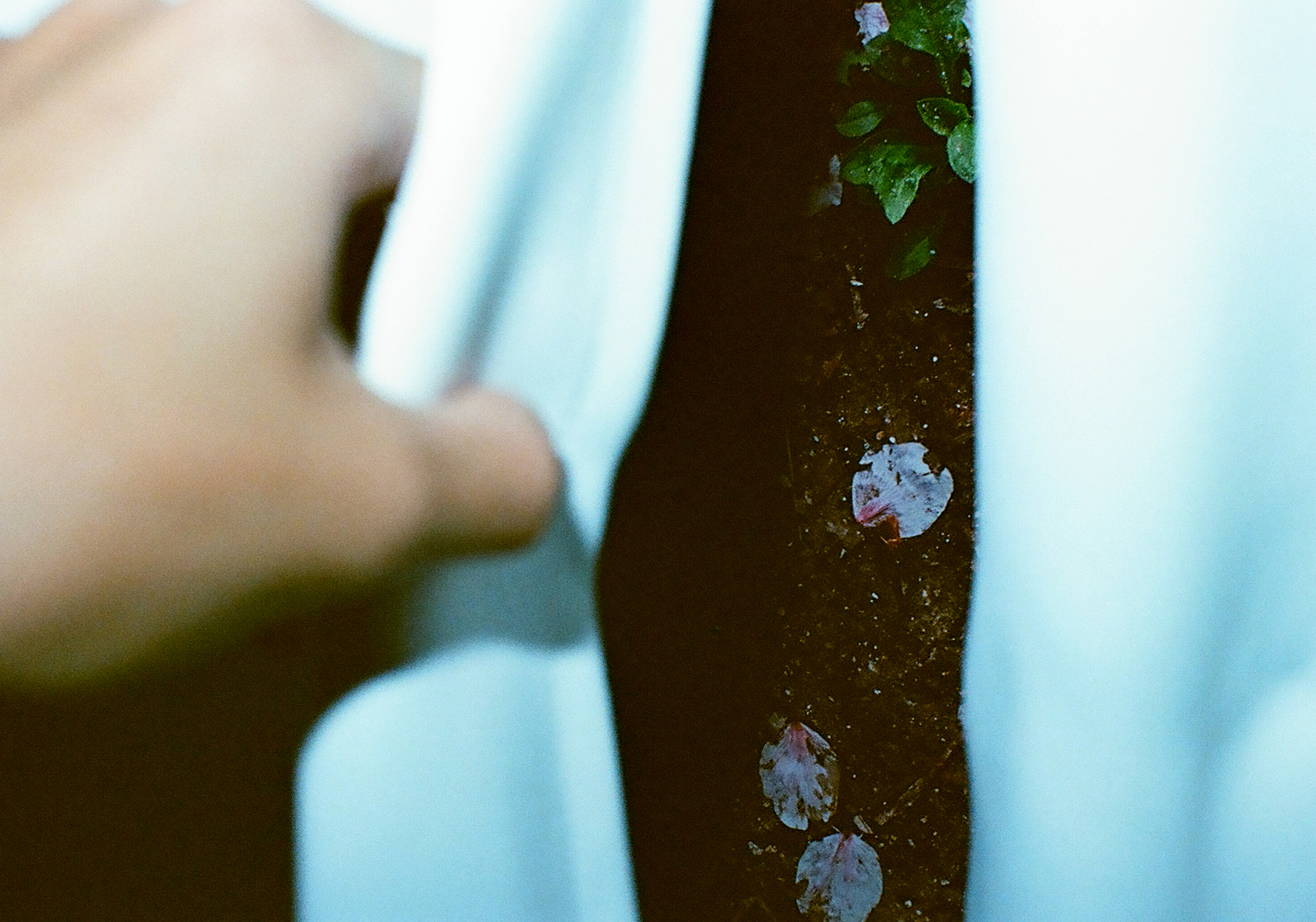 winner of photography awards