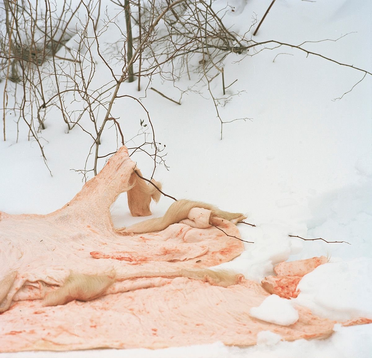 Jonathan Levite echo mask 写真集 As it Seemed - Photographs by Jonathan Levitt | Book review