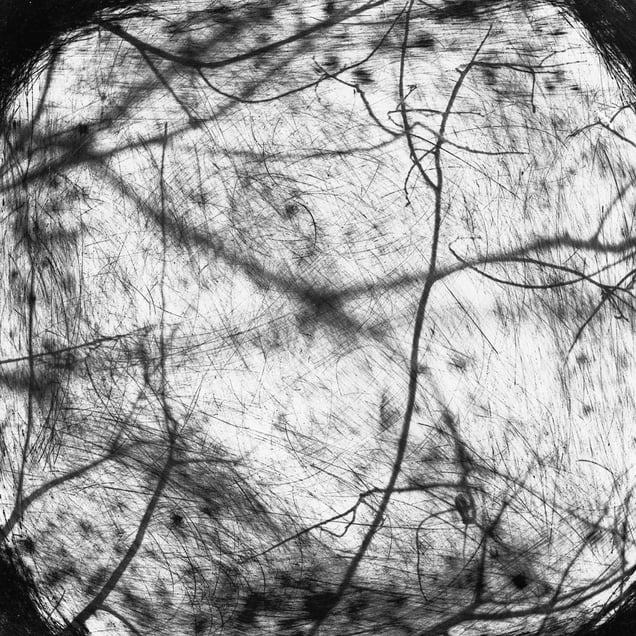 © Michael Donnor