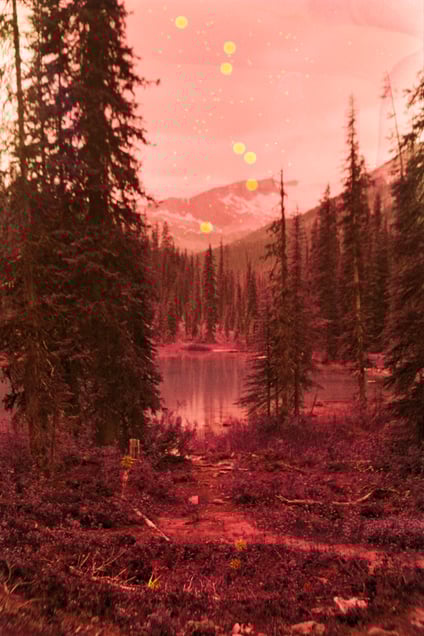 Pond, Yoho National Park