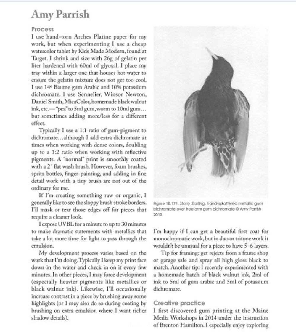 Gum Printing: A Step-by-Step Manual, Highlighting Artists and Their Creative Practice