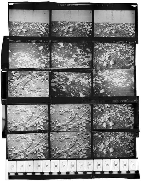 Tea cups, 181x131 cm, 2002 © Jeff Cowen