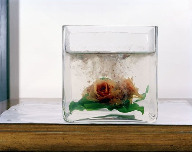 © Edmund Clark (Great Britain) From the series "Guantanamo: If the Light Goes Out". Honorable Mention, LensCulture Exposure Awards 2009