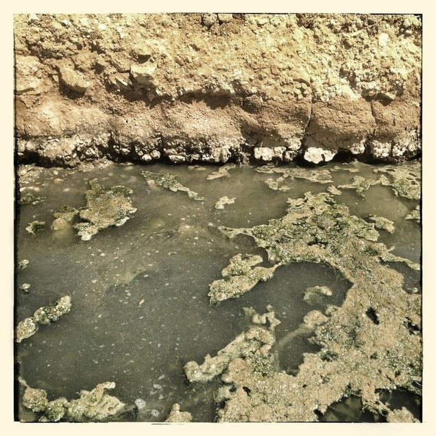 A stream of waste water in Za'atari refugee camp