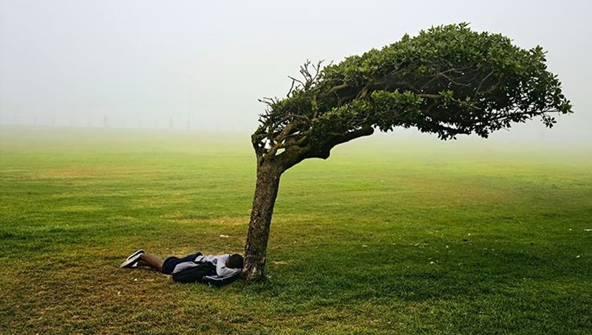 Green Point Common,Capetown, 2013. Courtesy of Stevenson Gallery, Capetown/Johannesburg and Yossi Milo, New York.