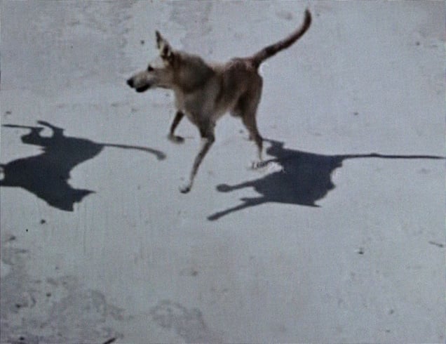 From "A Series of Unfortunate Events" discovered on Google Street View. Photographs © Michael Wolf