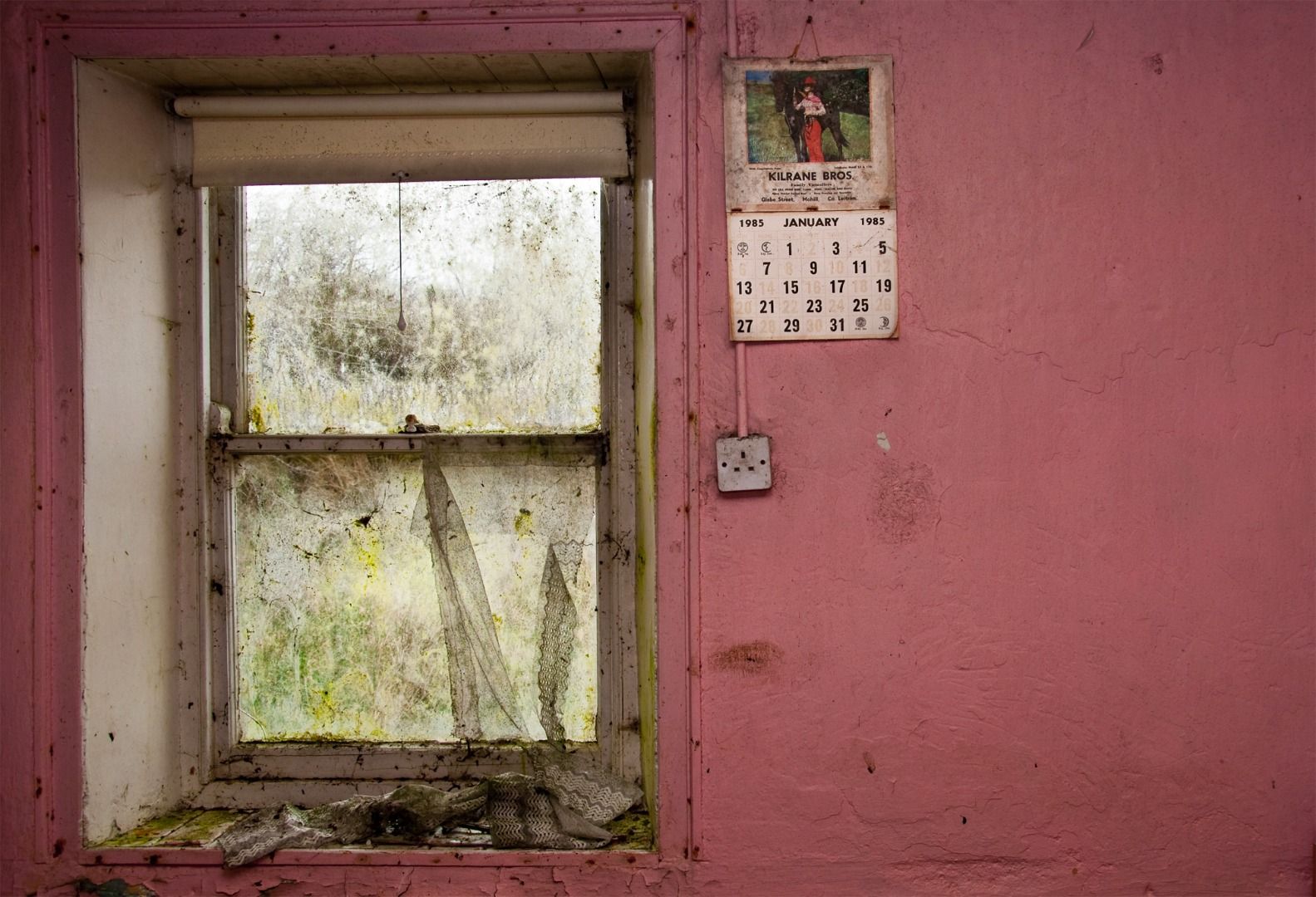 John McGahern: His Time and His Places