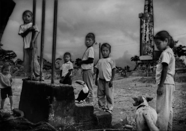 Consommation Eco-Systeme © James Withlow Delano