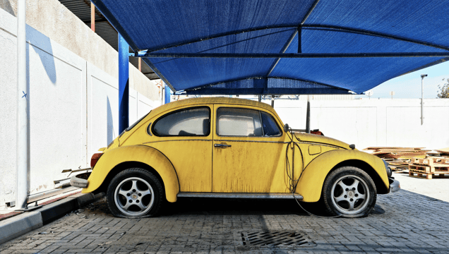 Freedom and Guilt, XXIII