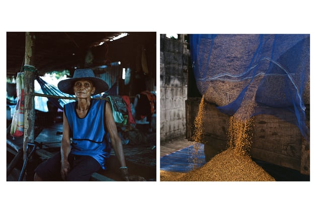 Local farmer. Nong Bua, Nakhon Sawan. © Luke Duggleby 2024 & 2025